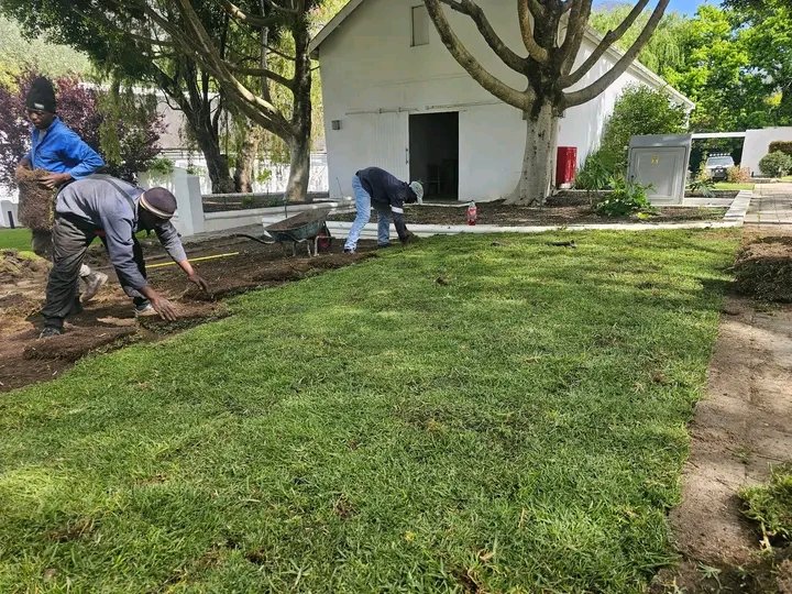 Freeman garden services 98