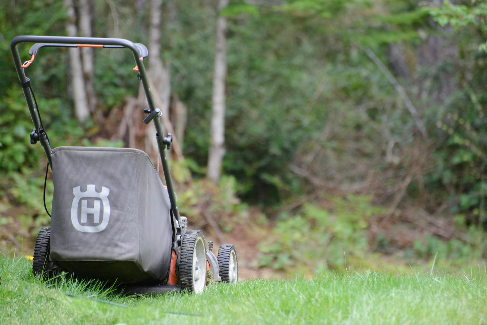Rear view of a lawn mower on a lush green lawn with a forest backdrop.