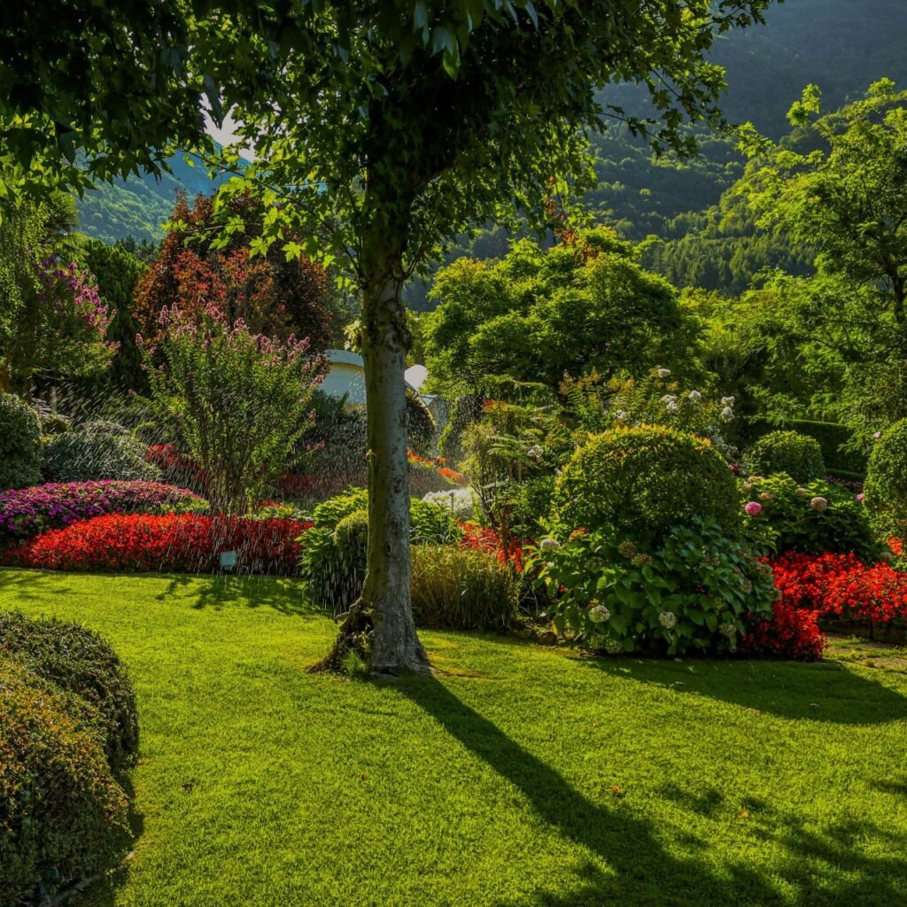 garden designing